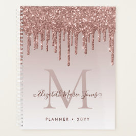 Moderne Roos Gold Glitter Drift elegant monogram Planner