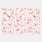 Moderne Roze Strik Inpakpapier | Coquette Lint Vel (Voorkant)