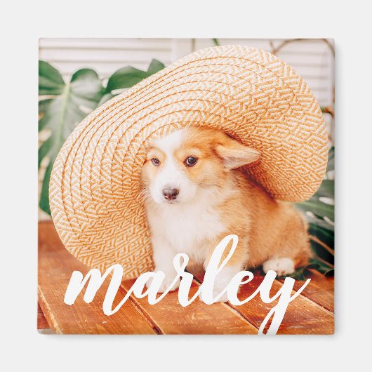 Moderne Rustic Simple Custom Pet-foto Magneet (Voorkant)