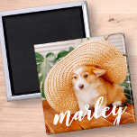 Moderne Rustic Simple Custom Pet-foto Magneet<br><div class="desc">Dit eenvoudige en klassieke ontwerp is samengesteld uit speelse cursieve typografie en voegt een douanefoto van uw huisdier toe.</div>