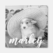 Moderne Rustic Simple Custom Pet-foto Magneet (Voorkant)