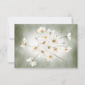 Moderne Rustieke Madeliefjeslijst Groen Huwelijk RSVP Kaartje (Achterkant)