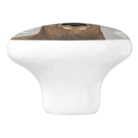 moderne  rustige winterherten keramische knop (Zijkant)