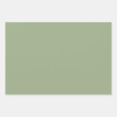 Moderne Sage Green Plain Effen Kleur Inpakpapier Vel (Voorkant)