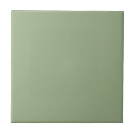 Moderne Sage Green Plain Effen Kleur Tegeltje