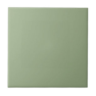 Moderne Sage Green Plain Effen Kleur Tegeltje