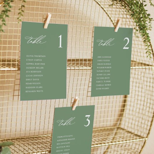 Moderne Sage Green Wedding Zitting Grafiek Kaarten
