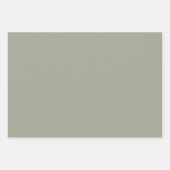 Moderne Sage Groene Solid Plain Inpakpapier Vel (Voorkant 2)