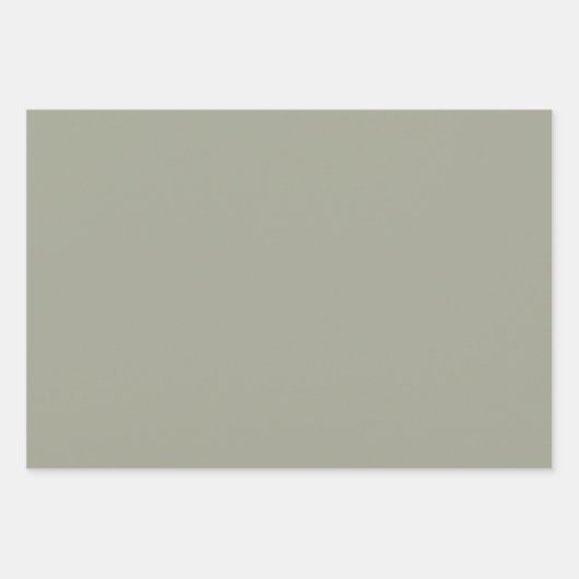 Moderne Sage Groene Solid Plain Inpakpapier Vel (Voorkant 2)