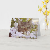 Moderne Schattige kat Lover Garden Greeting Kaart (Gele Bloem)