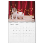 Moderne Schattigee Pet Kitten Kattenfoto's Jaarlij Kalender (Feb 2026)