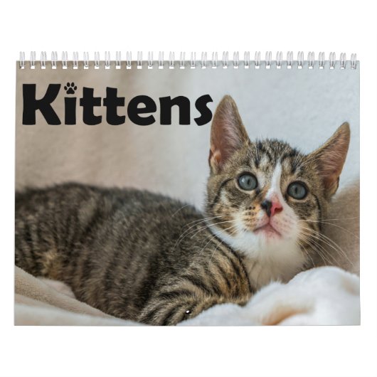 Moderne Schattigee Pet Kitten Kattenfoto's Jaarlij Kalender (Hoes)