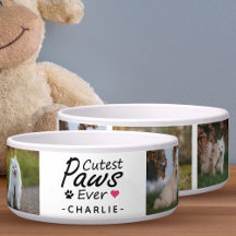 Moderne Schattigee poten ooit Familie Hond Fotocol