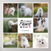Moderne Schattigee poten ooit Schattige Pet Dog Ph Poster (Voorkant)
