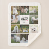 Moderne Schattigee poten ooit speelse hondenfotoco Sherpa Deken (Voorkant)