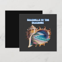 moderne schelpenhandel