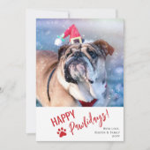 Moderne Script Foto Huisdier Prettige Pawlidays Feestdagenkaart (Voorkant)