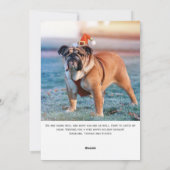 Moderne Script Foto Huisdier Prettige Pawlidays Feestdagenkaart (Achterkant)