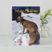 Moderne script Single Dog Photo Folie Kerstmis Kaa Folie Feestdagenkaart (Staand Voorkant)