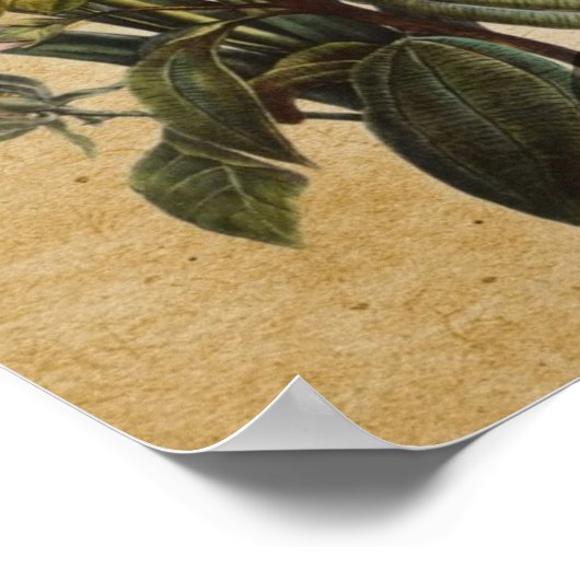 moderne scripts zoals Paris Eiffel Tower Poster (Hoek)