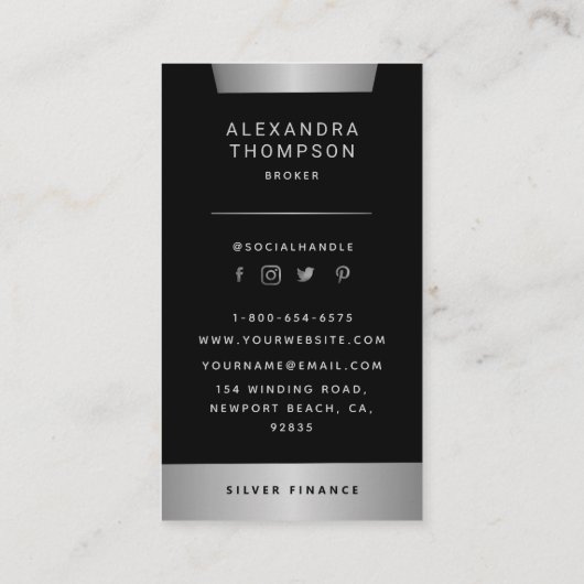 Moderne Silver Stripe Professional-foto van elegan Visitekaartje (Achterkant)