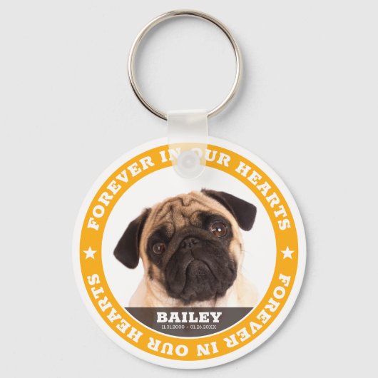 Moderne Simple Custom Pet Photo Sympathie Keepomwi Sleutelhanger (Voorkant)