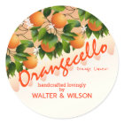 Moderne Sinaasappelorange