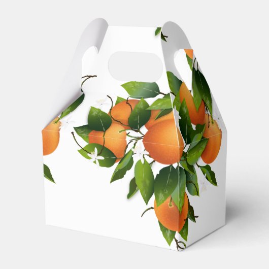 Moderne Sinaasappels fruit | Bruiloft Bedankdoosjes (Achterkant)