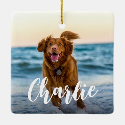 Moderne speelse chique hond Fotonaam Keramisch Ornament (Achterkant)
