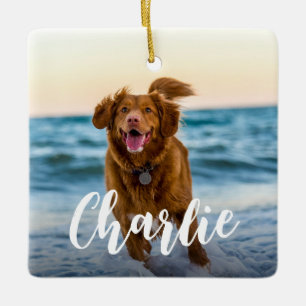 Moderne speelse chique hond Fotonaam Keramisch Ornament