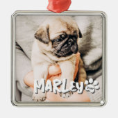 Moderne speelse eenvoudige grunge aangepaste huisd metalen ornament (Voorkant)