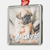 Moderne speelse eenvoudige grunge aangepaste huisd metalen ornament (Links)