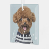 Moderne speelse eenvoudige harten chique huisdier glas ornament (Voorkant links)