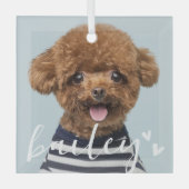 Moderne speelse eenvoudige harten chique huisdier glas ornament (Voorkant)