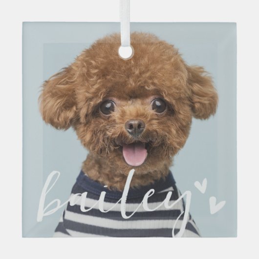 Moderne speelse eenvoudige harten chique huisdier  glas ornament (Voorkant)