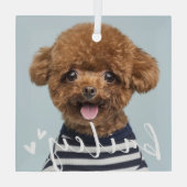 Moderne speelse eenvoudige harten chique huisdier glas ornament (Achterkant)