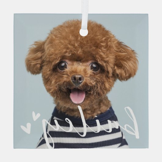 Moderne speelse eenvoudige harten chique huisdier  glas ornament (Achterkant)