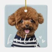 Moderne speelse eenvoudige harten chique huisdier  keramisch ornament (Achterkant)