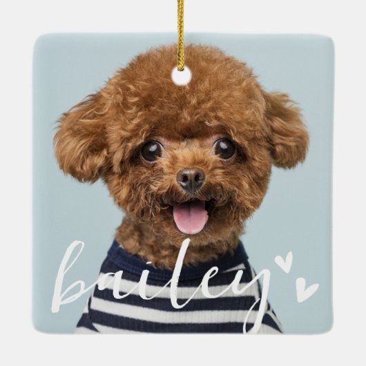 Moderne speelse eenvoudige harten chique huisdier  keramisch ornament (Achterkant)