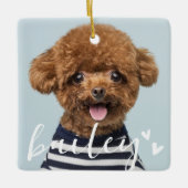 Moderne speelse eenvoudige harten chique huisdier  keramisch ornament (Voorkant)