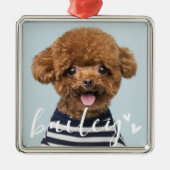 Moderne speelse eenvoudige harten chique huisdier metalen ornament (Voorkant)