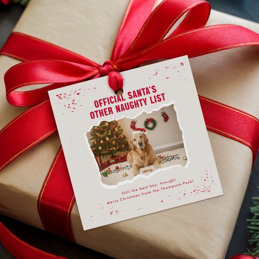 Moderne Speelse Grappige Hond Kerstcadeau  Bedankjes Labels