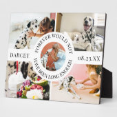 Moderne stijlvolle foto-collage ter nagedachtenis  fotoplaat (Zijkant)