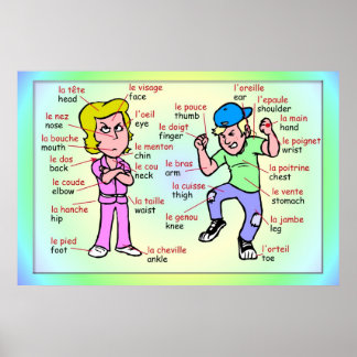 Moderne talen, Frans, Delen van het lichaam Poster