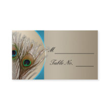 Moderne Taupe Aqua Peacock Feather Weddin Plaatska