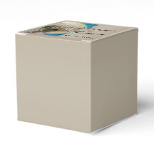 Moderne Taupe Aqua Peacock Feather Wedding Favor B