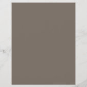 Moderne Taupe QR Code Professionele Consultant Flyer (Achterkant)