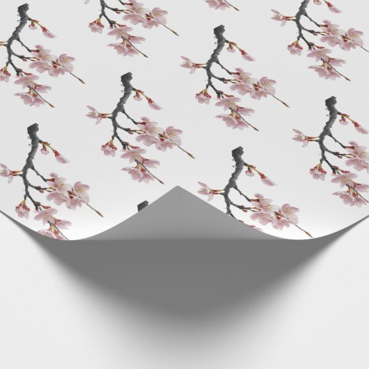Moderne Trendy Cherry Blossom Tree Branch Cadeaupapier (Hoek)