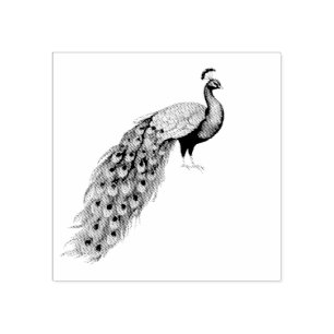 Moderne trendy pauw rubberstempel