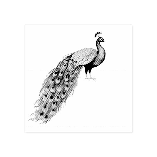 Moderne trendy pauw rubberstempel (Afrduk)